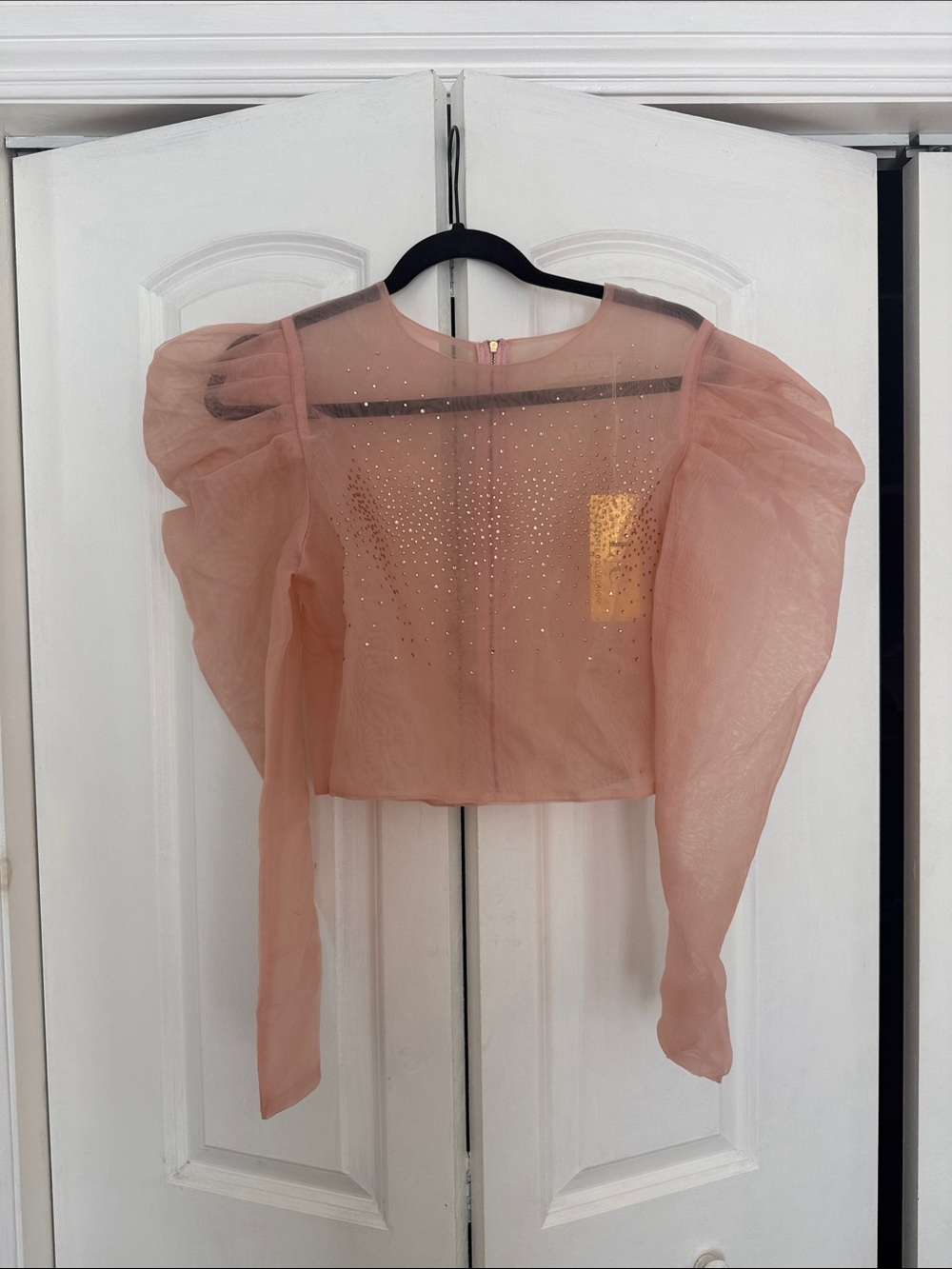 Puff-Sleeve Sheer Crop Blouse in Dusty Rose with Embellished Front